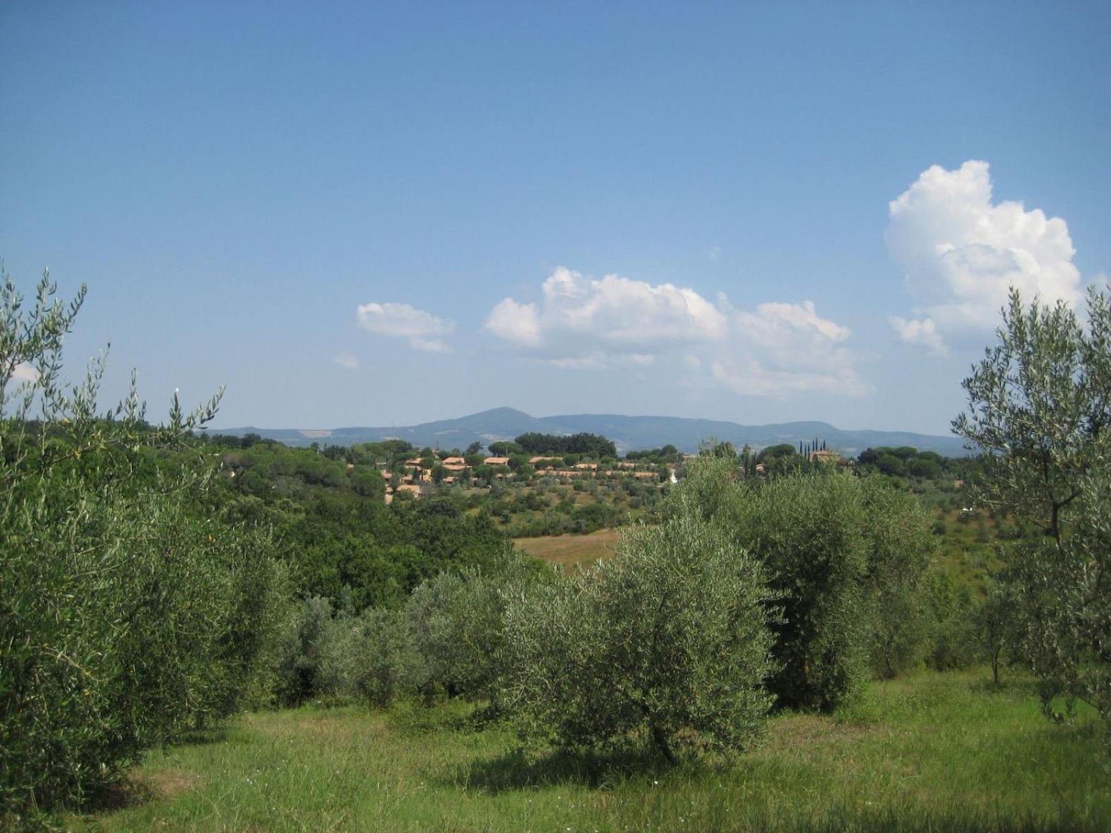 Il Borgo Centro Vacanze Guardistallo Exterior photo